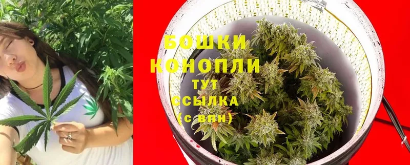 площадка формула  Волосово  Бошки марихуана Ganja  сколько стоит 